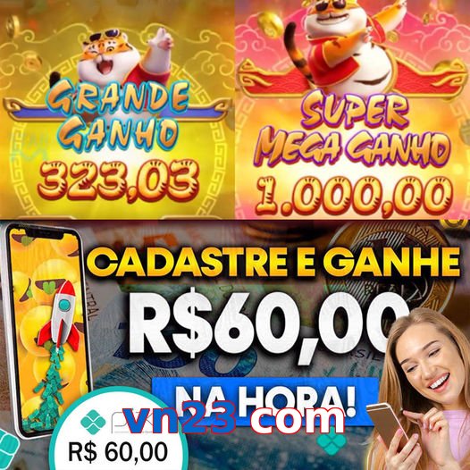vn23 com