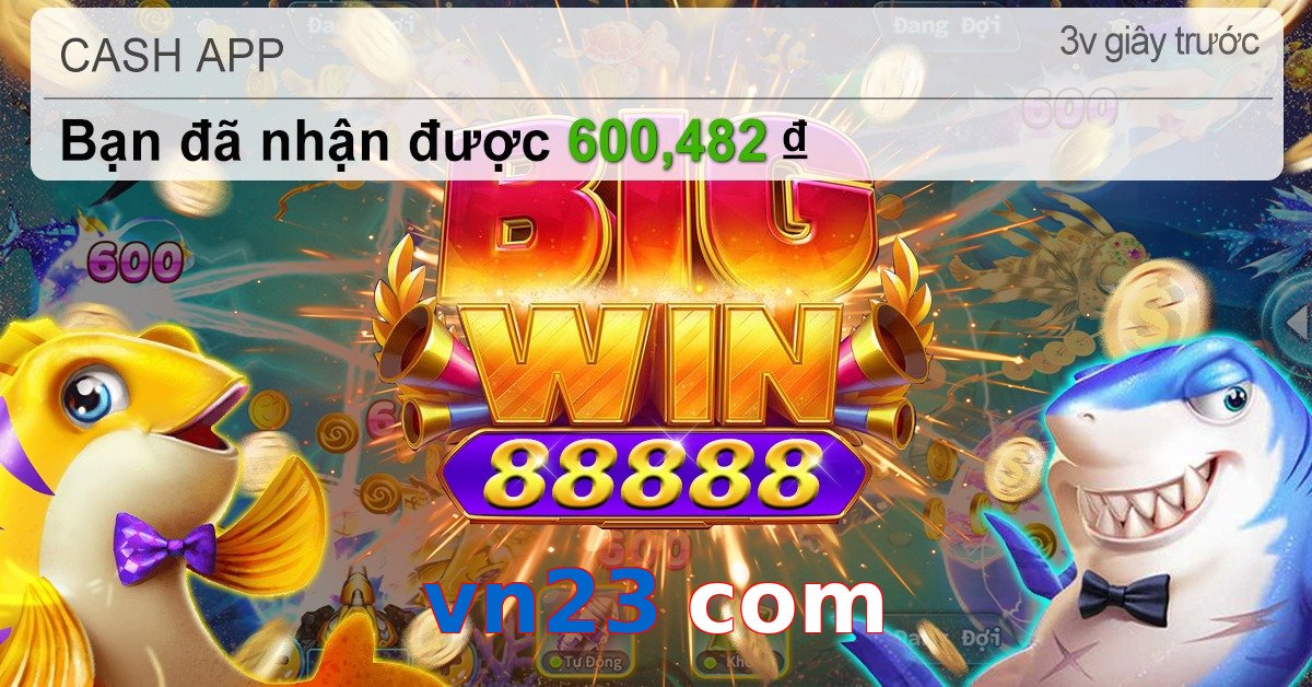 vn23 com